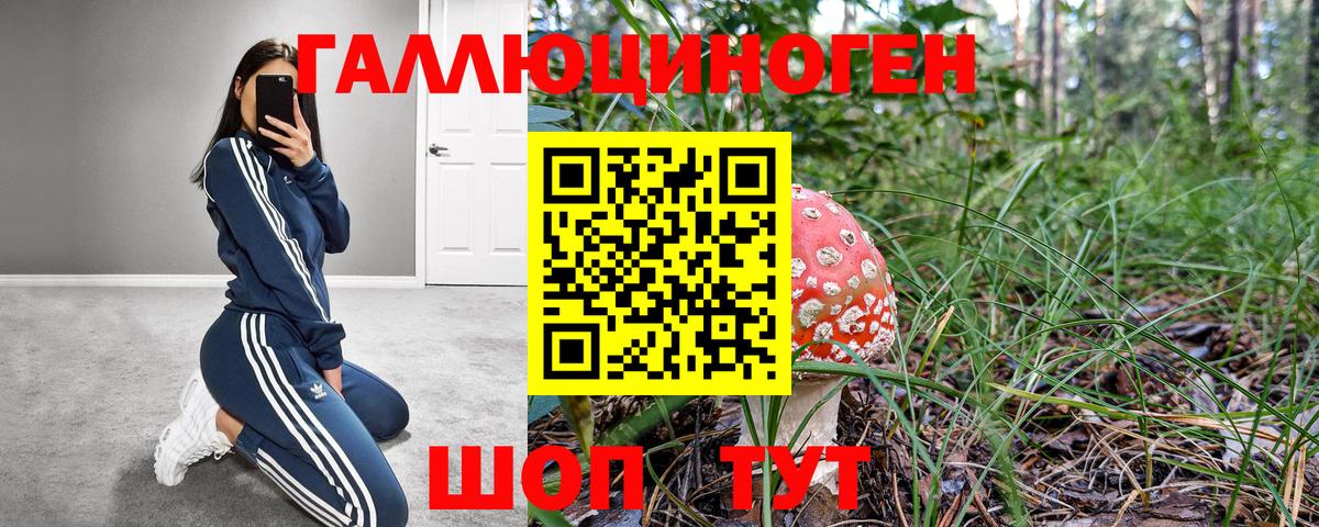 Рубцовск  Псилоцибиновые грибы прущие грибы  Вход с VPN  Галлюциногенные грибы мухоморы 