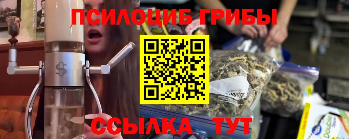 Галлюциногенные грибы Psilocybe Рубцовск